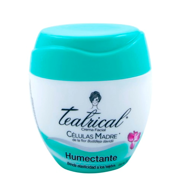 TEATRICAL HUMECTANTE X 100 GR